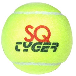 Tennisballs - TYGER SQ-Allcourt 96 bucket  ITF Approved