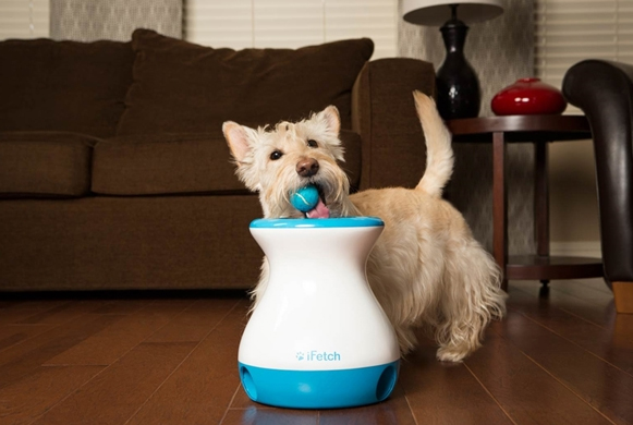 iFetch Frenzy