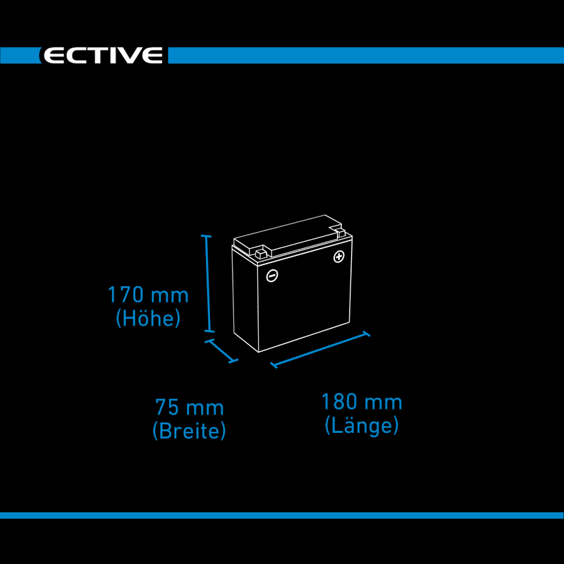 Ersatzbatterie Ective Lithium (LiFePO4 Akku) - 12V 20Ah mit BMS