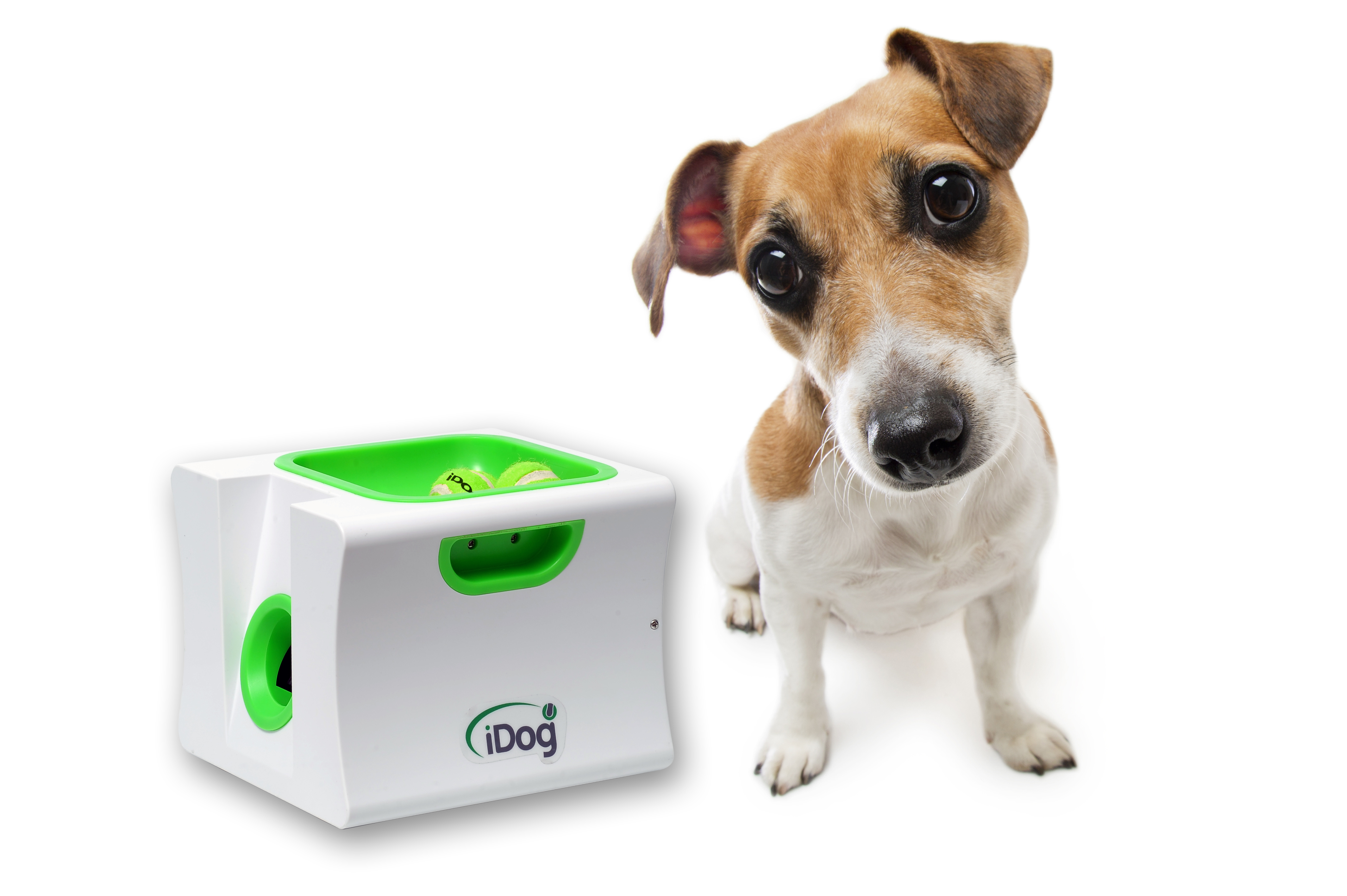 iDog mini -inkl. Fernbedienung- Ballwurfmaschine für Hunde -Apportiermaschine - Ballwurfautomat