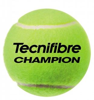 Tennisballs - Tecnifibre - CHAMPION ONE (3 ball can)