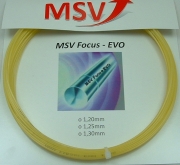 MSV Focus EVO - 12 Meter - amber 